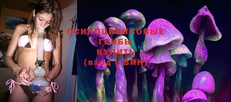 где продают   Каменск-Шахтинский  Галлюциногенные грибы Psilocybe 